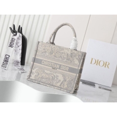 Christian Dior Shopping Bags